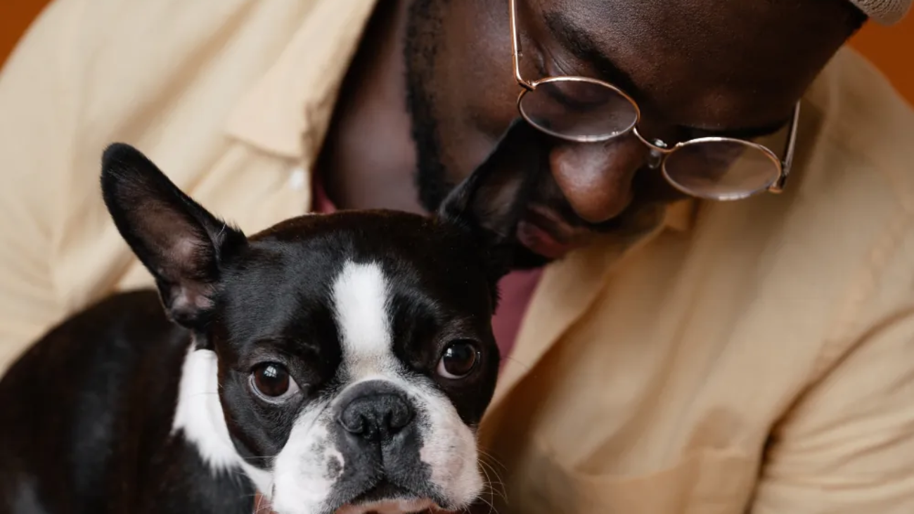 article-thumb-3_optimized