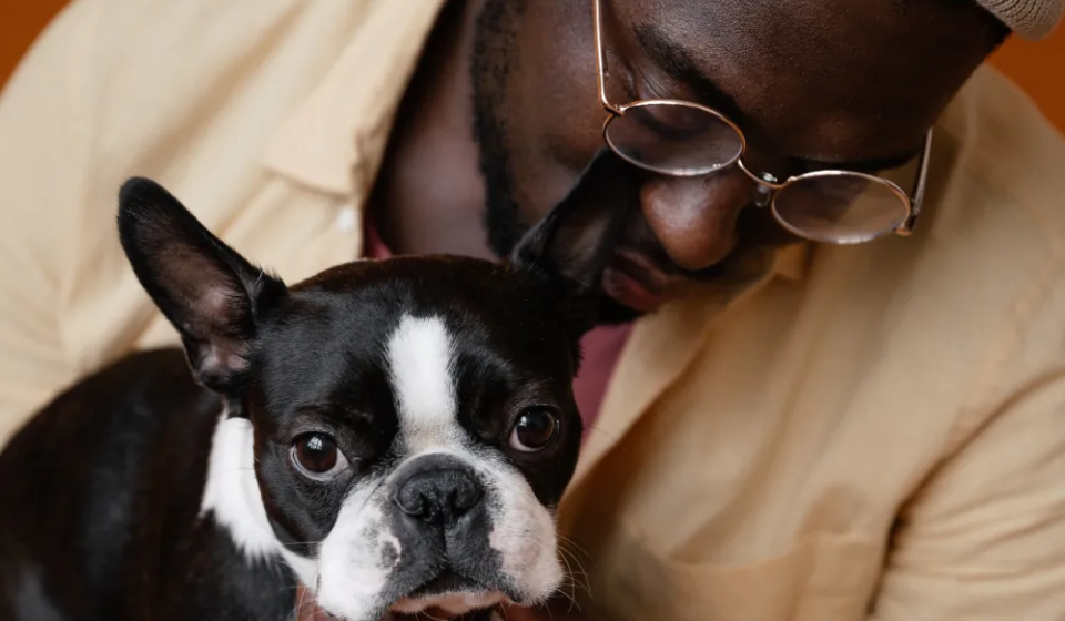 article-thumb-3_optimized