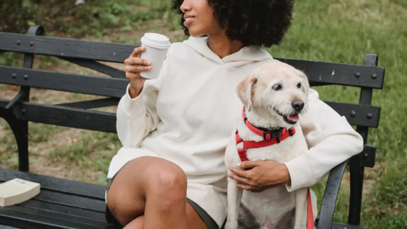 article-thumb-4_optimized