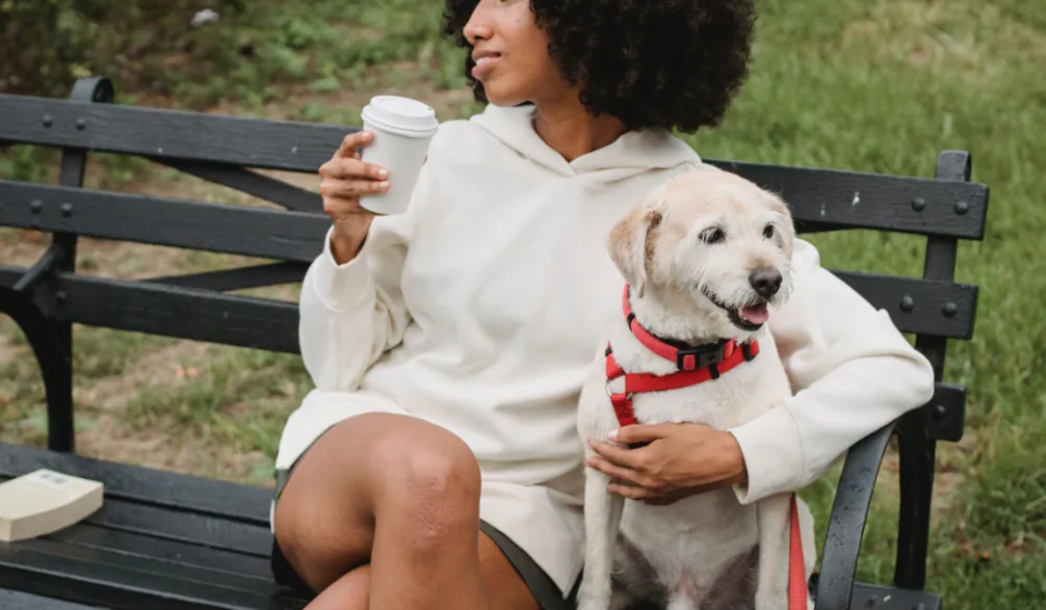 article-thumb-4_optimized