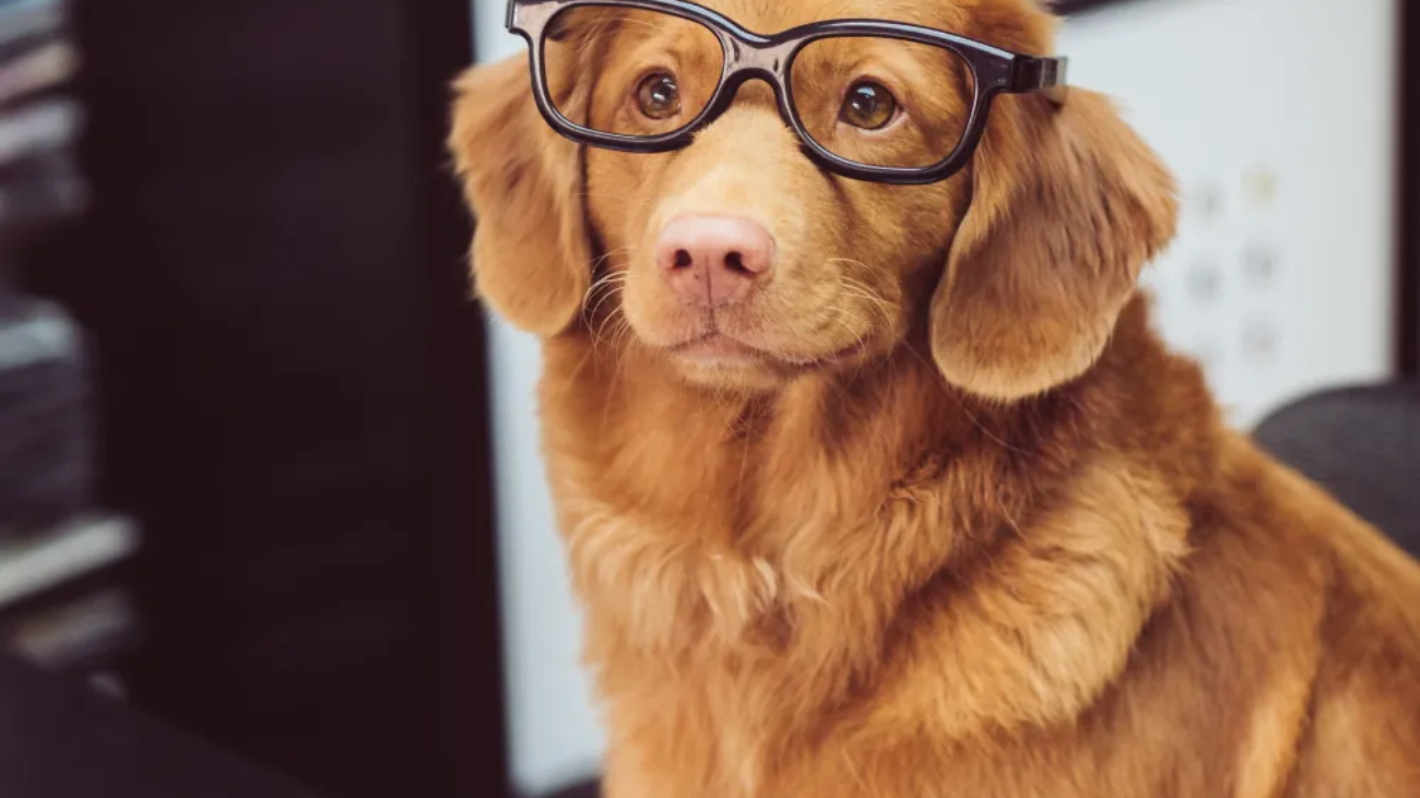 article-thumb-5_optimized