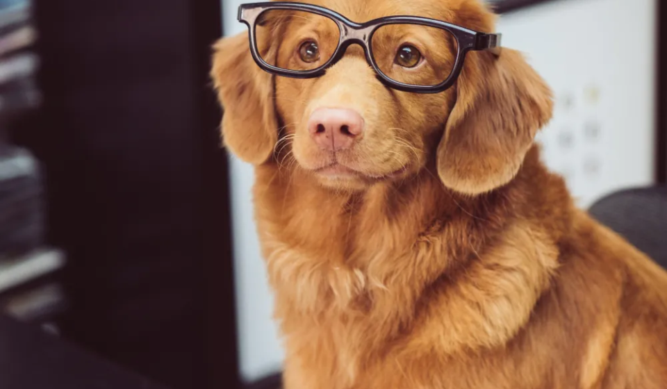 article-thumb-5_optimized