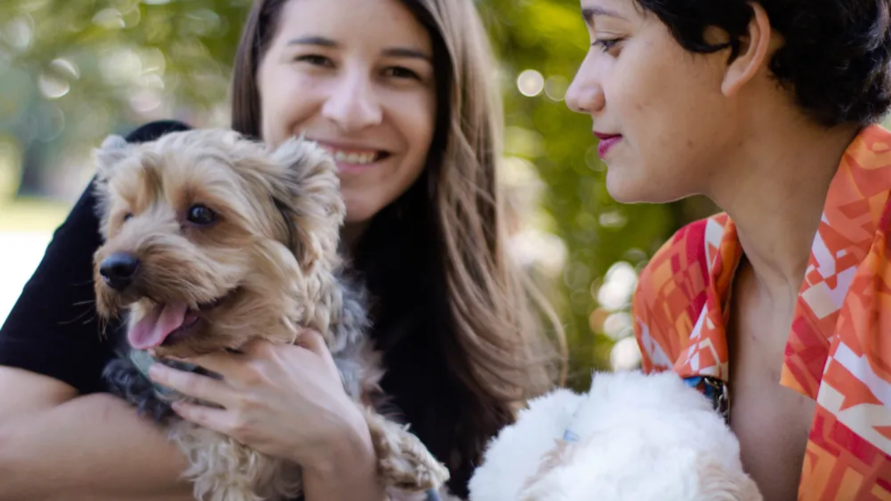 article-thumb-6_optimized