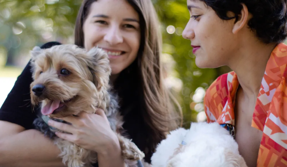 article-thumb-6_optimized