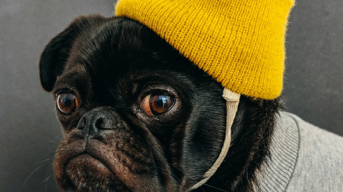 article-thumb-7_optimized