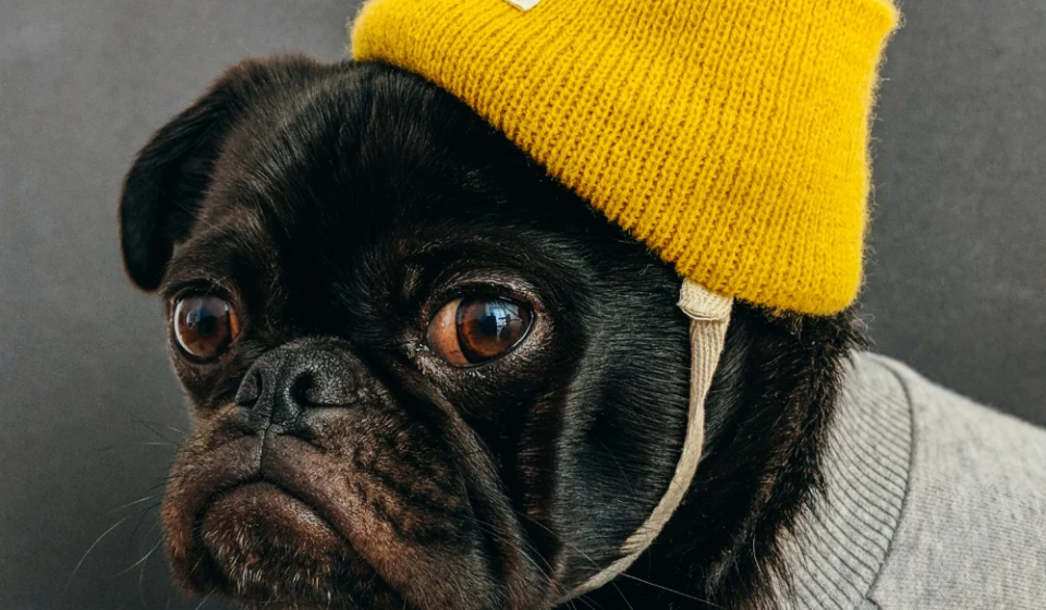 article-thumb-7_optimized