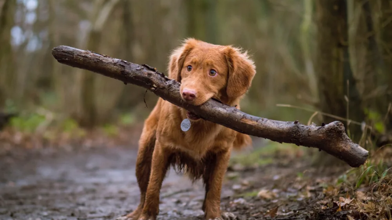 article-thumb-8_optimized