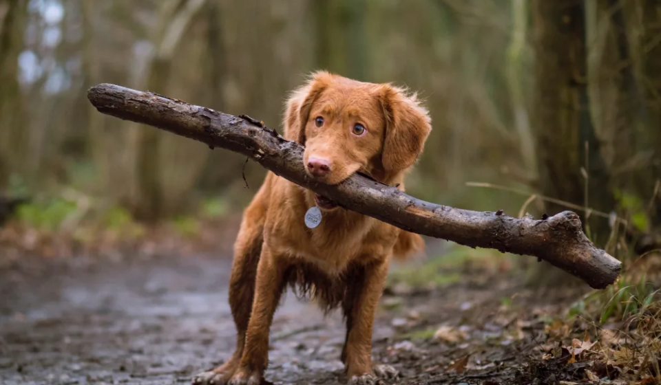 article-thumb-8_optimized